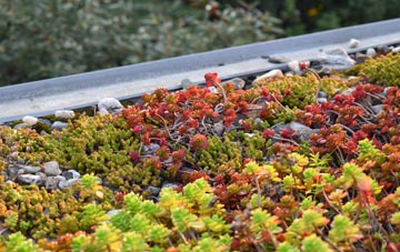 the cost of Broom green roof installation