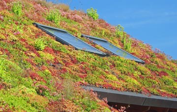 Broom living roof systems