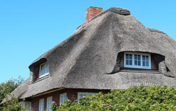 thatch roofing Broom